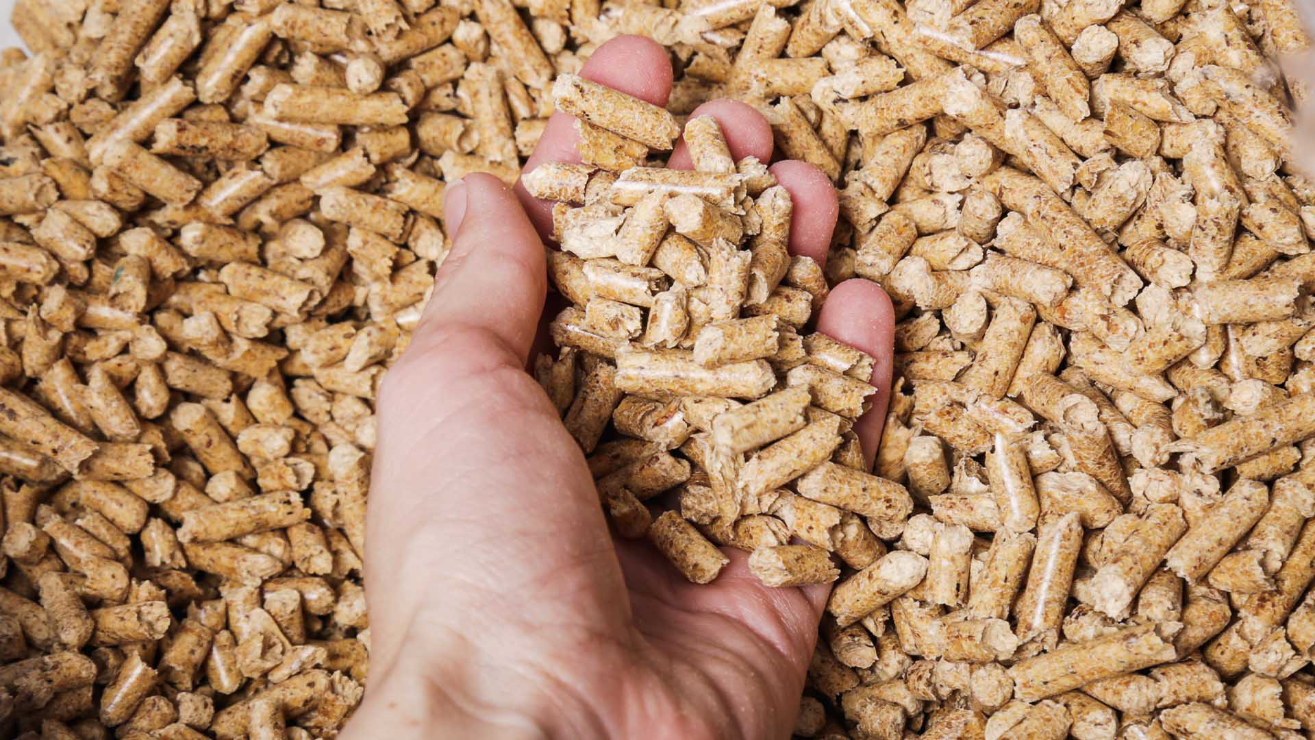 1 camion de granulés de bois de première qualité – Image 6